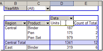 PivotDataNames03