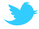 twitter_newbird_boxed_blueonwhite