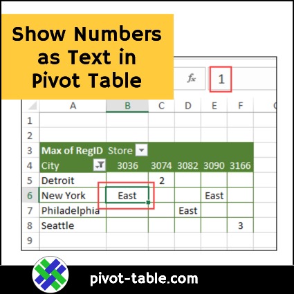 Show Numbers as Text in Pivot Table Values
