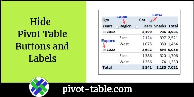 Hide Excel Pivot Table Buttons and Labels