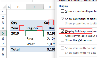 pivotoptionsdisplay06