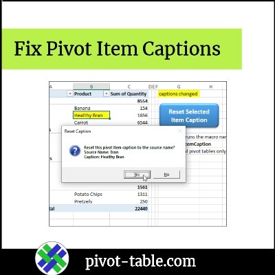 fixpivotitemcaptions01a