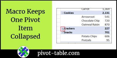 Excel Macro Keeps One Pivot Item Collapsed