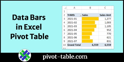Show Sales Amounts as Data Bars in Excel Pivot Table
