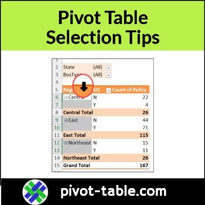How to Select Specific Part of an Excel Pivot Table