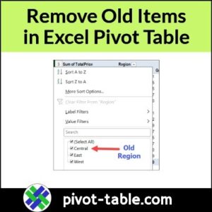 Remove Old Items – Excel Pivot Table Drop Down – Excel Pivot Tables