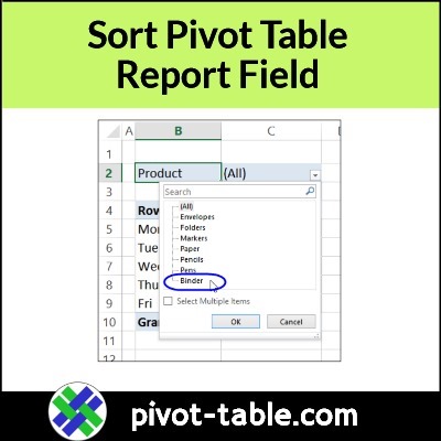 How to Sort Pivot Table Report Filters