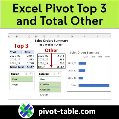 Excel Pivot Table Filter – Show Top 3 and Total Other